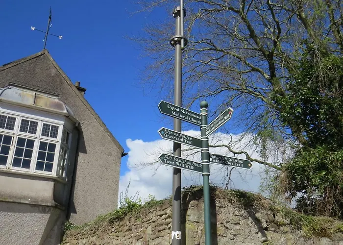 Devon View House Nocleg ze śniadaniem Youghal